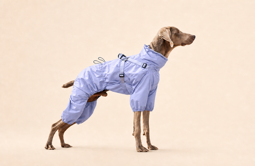 HERDWILD Four-Leg Raincoat - Lilac Mist