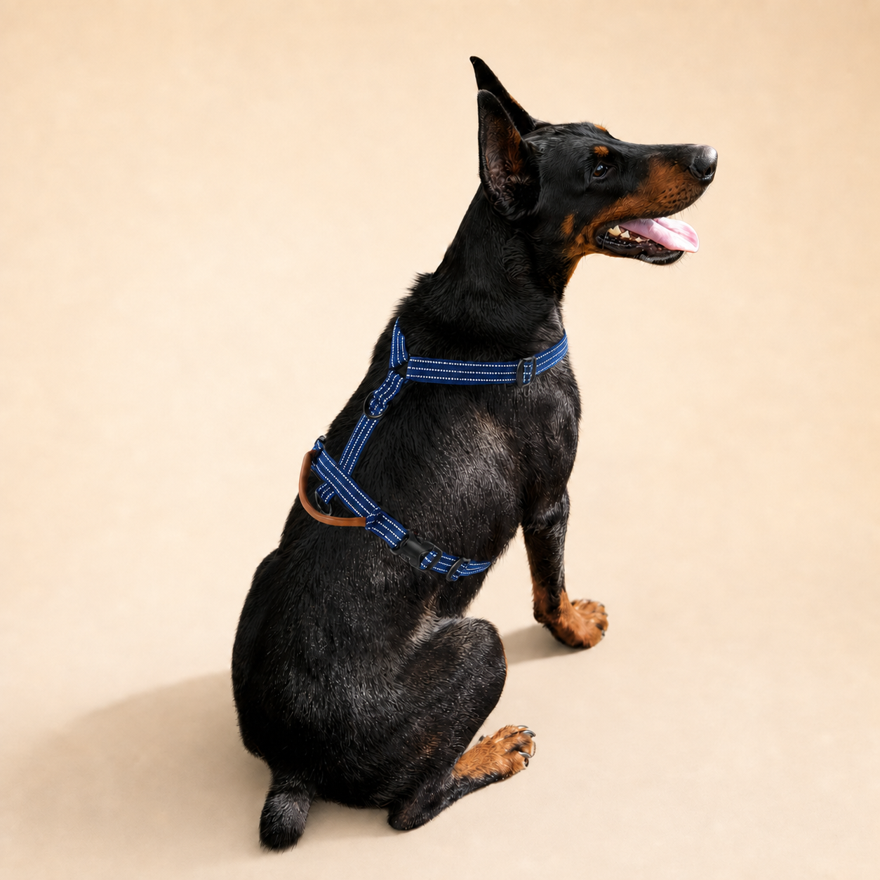 HERDWILD Reflective Harness & Leash Set - Navy Blue