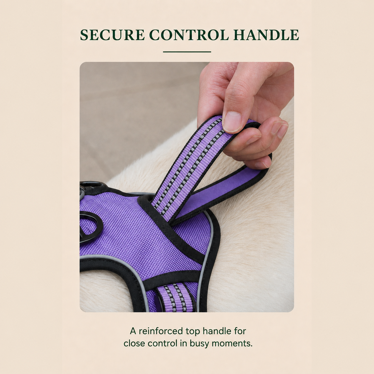 HERDWILD Reflective Dog Harness - Violet Purple