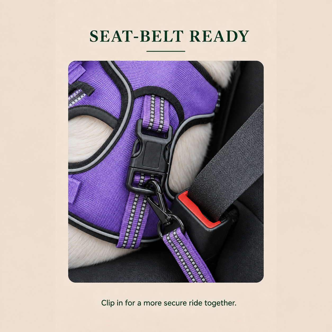 HERDWILD Reflective Dog Harness - Violet Purple