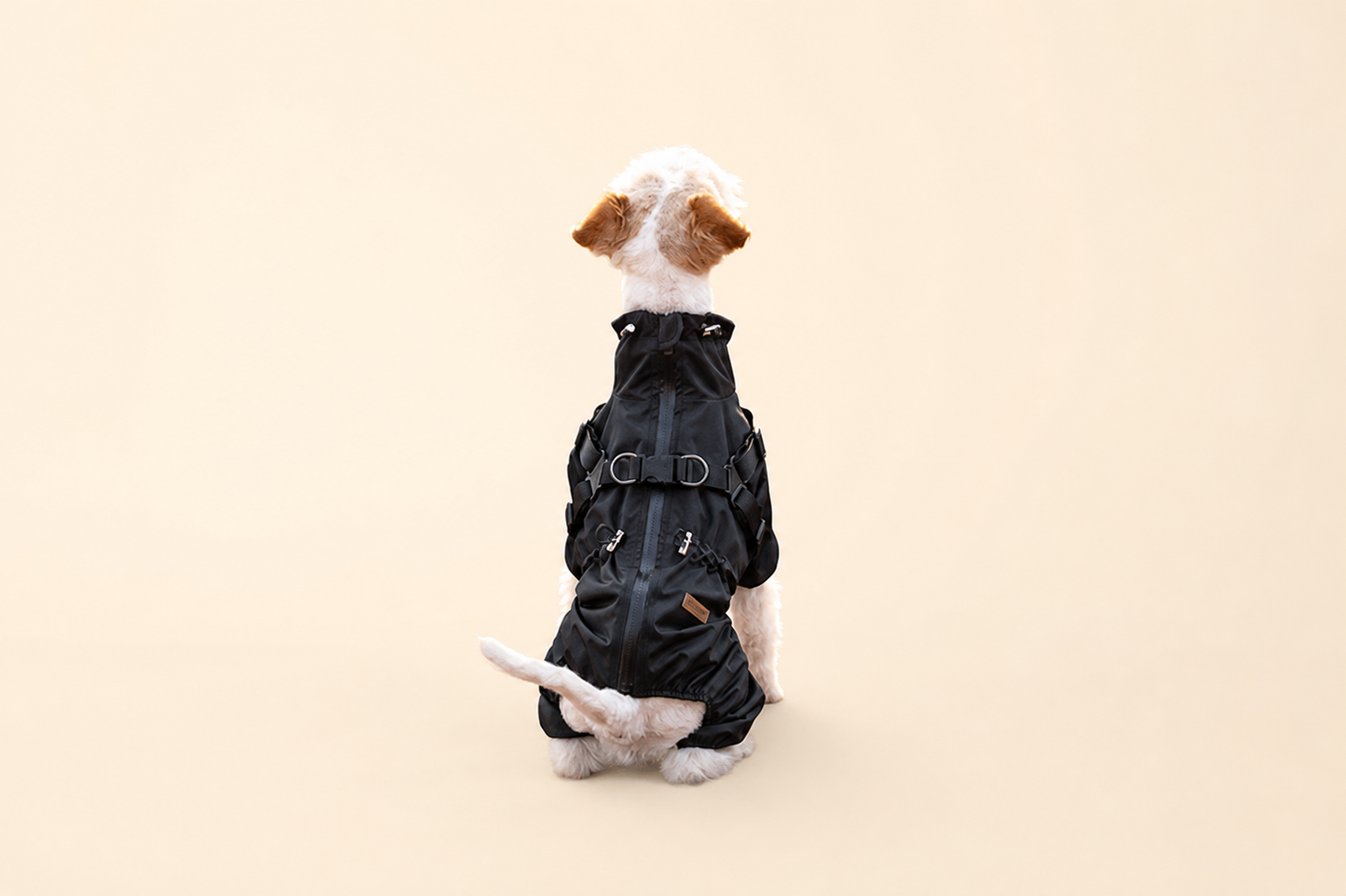 Rear view of dog wearing a black HERDWILD four-leg raincoat