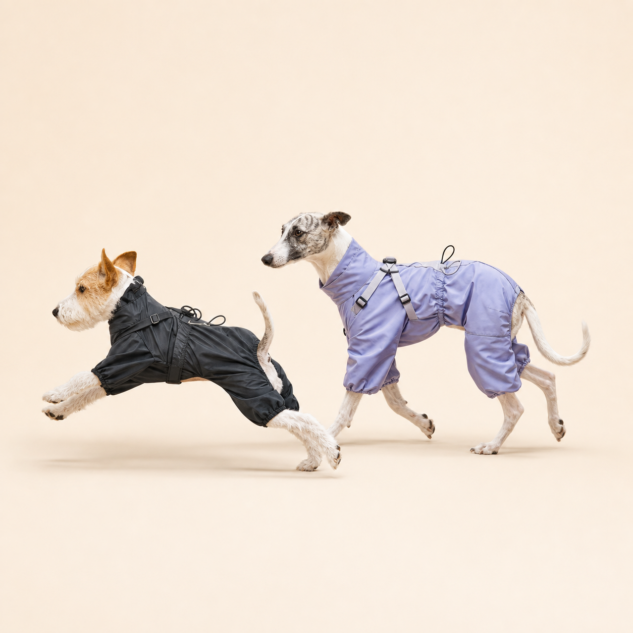 Two dogs running in HERDWILD four-leg raincoats