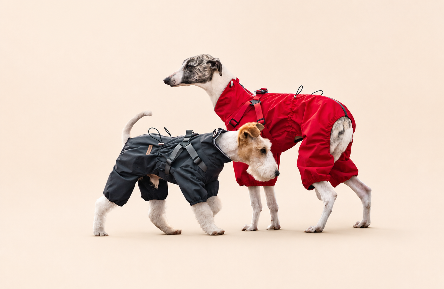 Dogs wearing HERDWILD four-leg raincoats